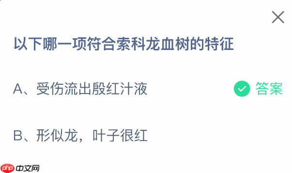 以下哪一项符合索科龙血树的特征