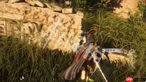 燕云十六声善恶的颜色怎么过-燕云十六声万事知善恶的颜色任务攻略