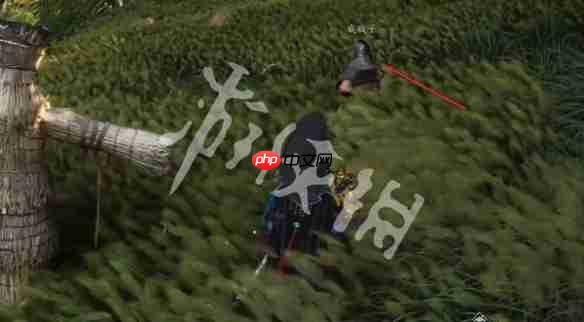 燕云十六声善恶的颜色怎么过-燕云十六声万事知善恶的颜色任务攻略