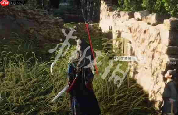 燕云十六声善恶的颜色怎么过-燕云十六声万事知善恶的颜色任务攻略