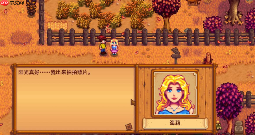 攻略 13 星满心之路！NPC 好感系统全阶段技巧