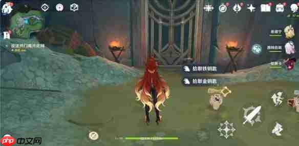 原神寒鸦的系谱任务怎么过-原神寒鸦的系谱任务攻略