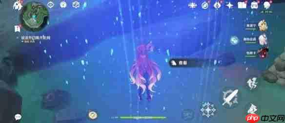 原神寒鸦的系谱任务怎么过-原神寒鸦的系谱任务攻略