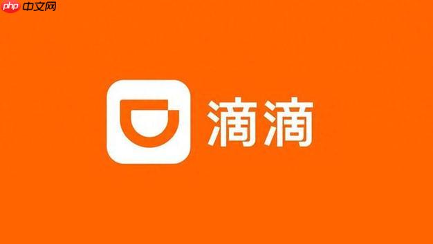 2025年滴滴年度报告在哪里 滴滴出行app年度账单位置