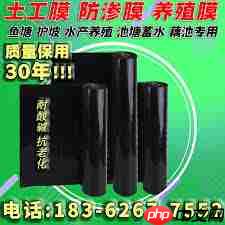 闲鱼怎么找到妹子