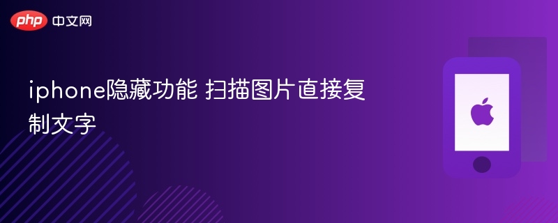 iphone隐藏功能 扫描图片直接复制文字 - 98游戏