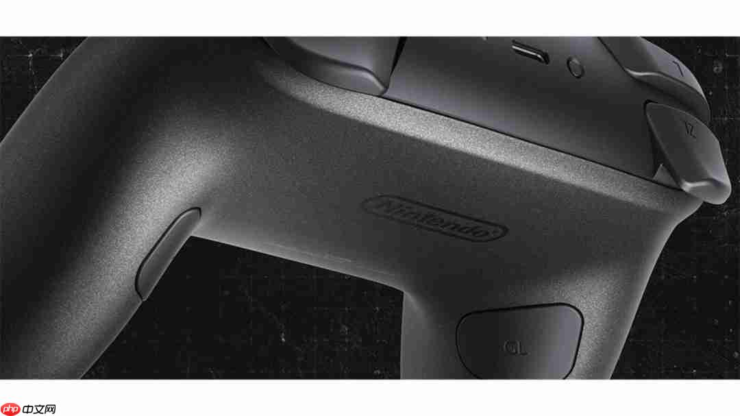 卡普空公布《生化危机9》主题NS2 Pro手柄和Amiibo