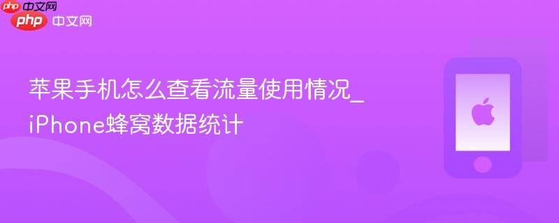苹果手机怎么查看流量使用情况_iphone蜂窝数据统计