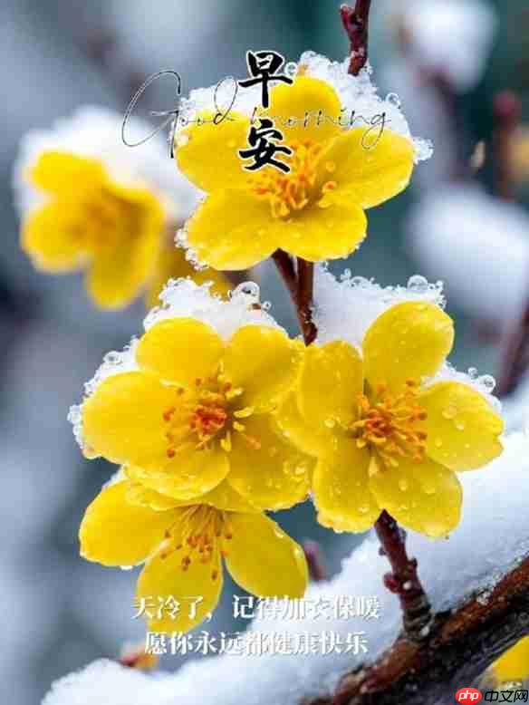 早安图片大全-早安图片最火最美