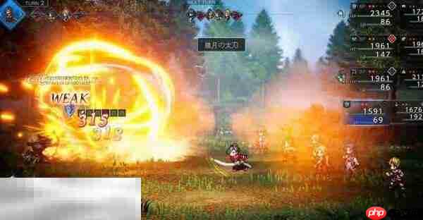 歧路旅人0蕾梅图鉴 歧路旅人0蕾梅人物介绍