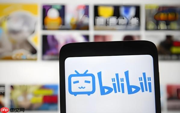 哔哩哔哩网页入口 b站官网pc端直达