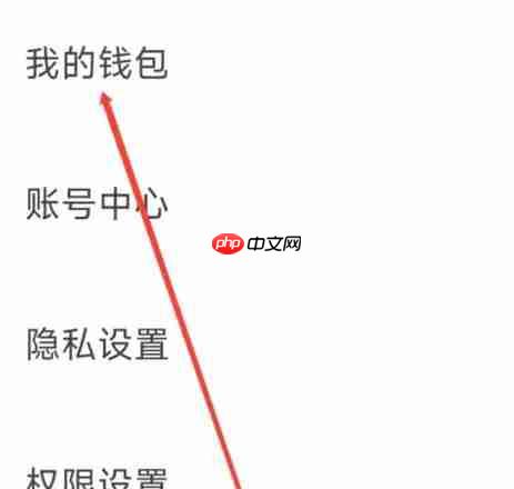 爆米花视频app怎么查看我的钱包-我的钱包查看入口