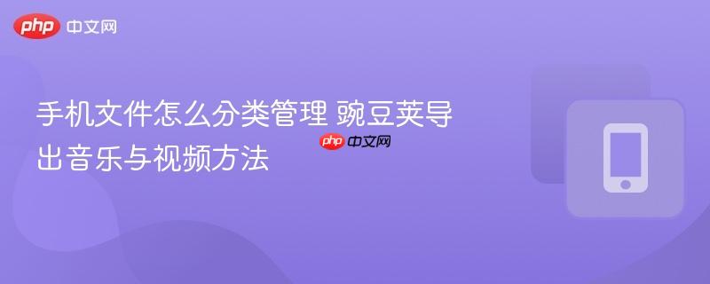 手机文件怎么分类管理 豌豆荚导出音乐与视频方法