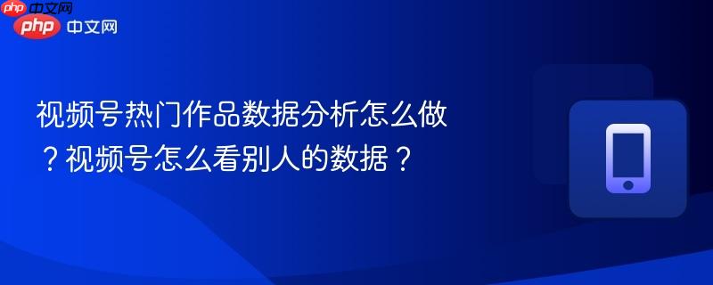 视频号热门作品数据分析怎么做？视频号怎么看别人的数据？