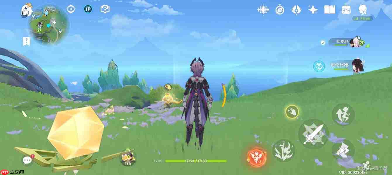 原神獭獭羊解谜攻略-原神獭獭羊解谜怎么做