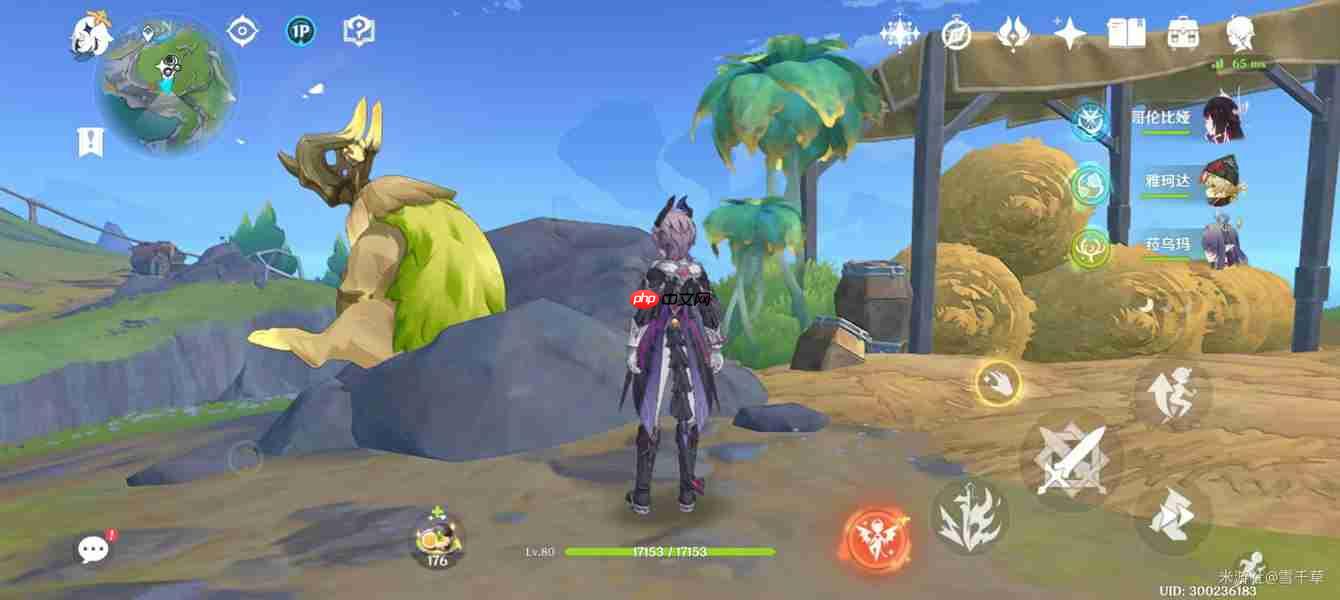 原神獭獭羊解谜攻略-原神獭獭羊解谜怎么做