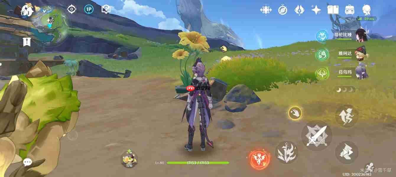 原神獭獭羊解谜攻略-原神獭獭羊解谜怎么做