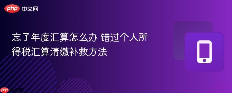 忘了年度汇算怎么办 错过个人所得税汇算清缴补救方法