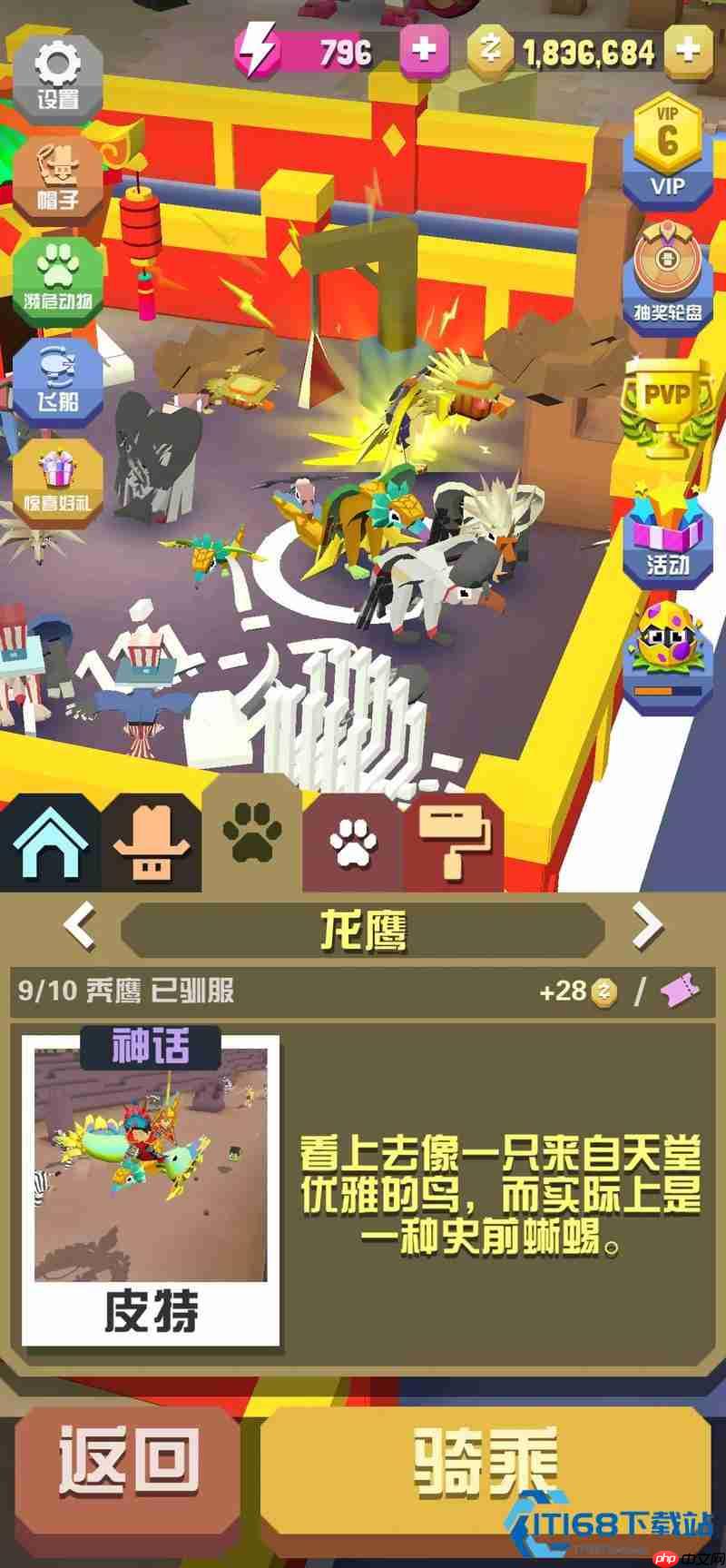 森林寻鹰高手速成指南