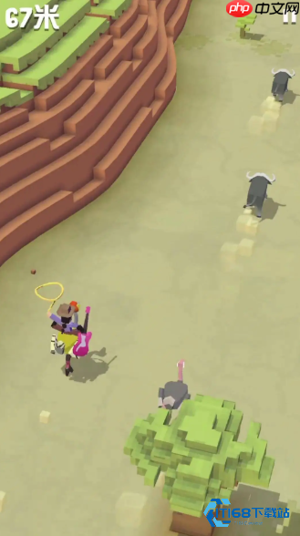 森林寻鹰高手速成指南