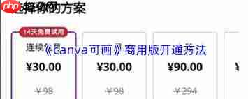 如何开通canva可画会员