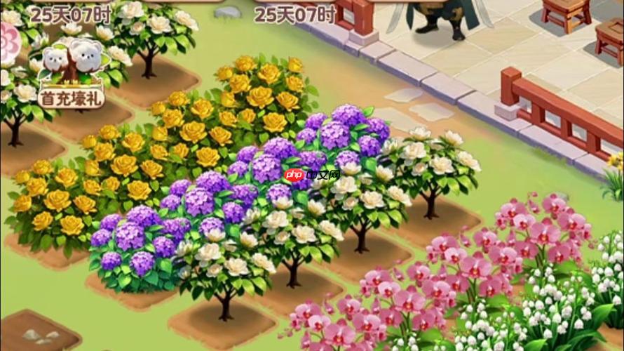 我的花园世界小游戏全网入口 抖音我的花园世界小游戏免费畅玩平台