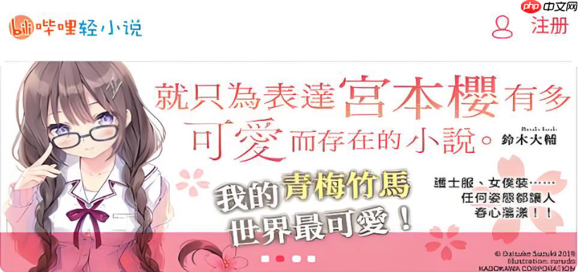 哔哩轻小说在线阅读入口_无限书币阅读版