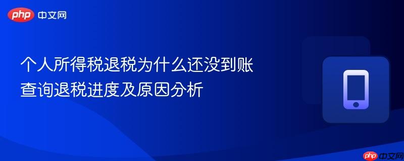 个人所得税退税为什么还没到账 查询退税进度及原因分析