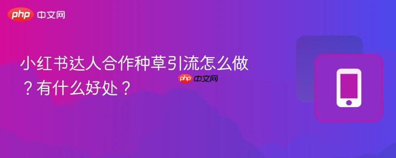 小红书达人合作种草引流怎么做？有什么好处？