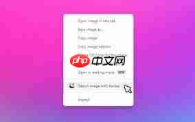 yandex能不能看视频