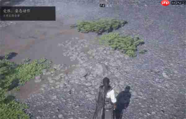 燕云十六声柿业有成活动怎么完成-燕云十六声柿业有成活动完成方法