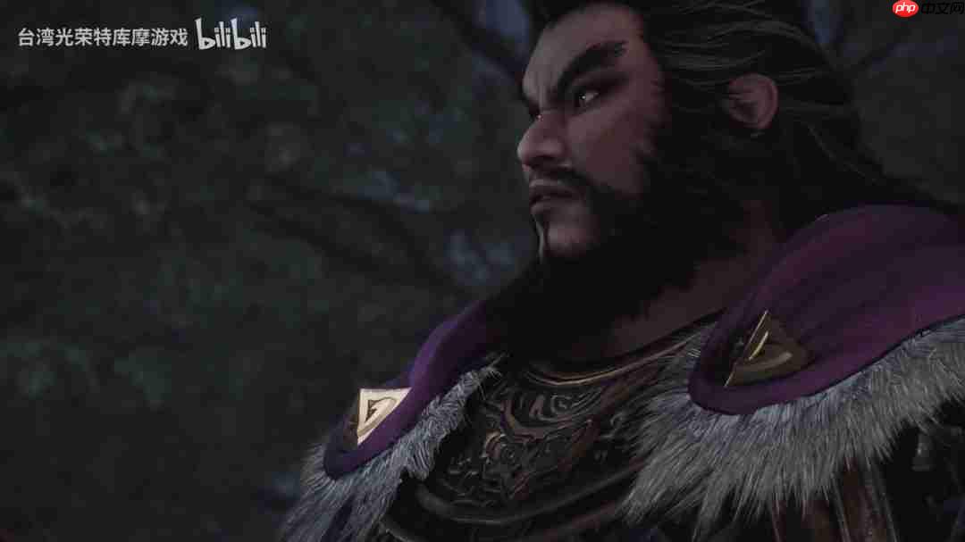 《真三国无双：起源》