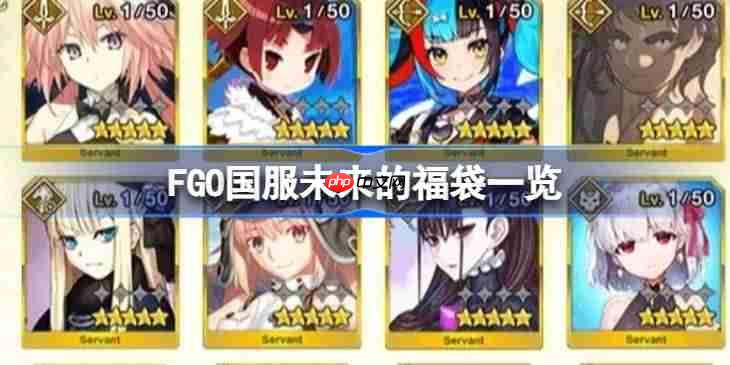 FGO国服未来的福袋一览-FGO国服未来的福袋还有哪些