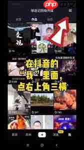 抖音火山版网页怎么登录官网