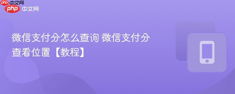 微信支付分怎么查询 微信支付分查看位置【教程】