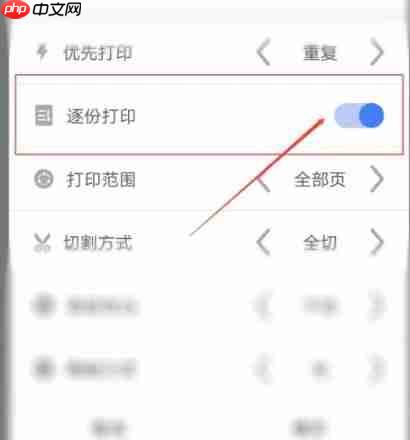 硕方打印app怎么逐份打印-逐份打印设置方法