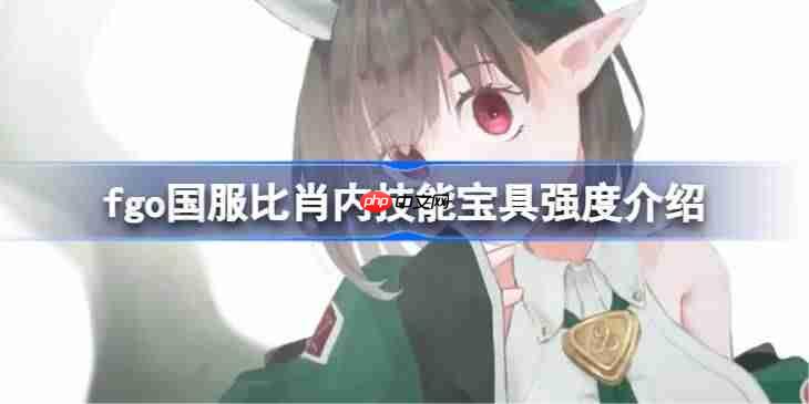 fgo国服比肖内技能宝具强度介绍-fgo国服比肖内技能宝具怎么样