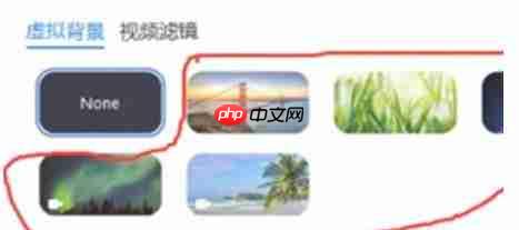 zoom怎么设置虚拟背景？-zoom设置虚拟背景的方法