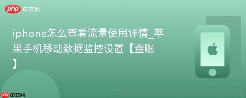 iphone怎么查看流量使用详情_苹果手机移动数据监控设置【查账】