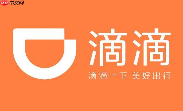 滴滴2025年度报告隐藏彩蛋 滴滴出行年度称号怎么领