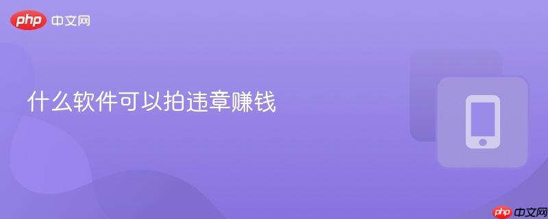什么软件可以拍违章赚钱