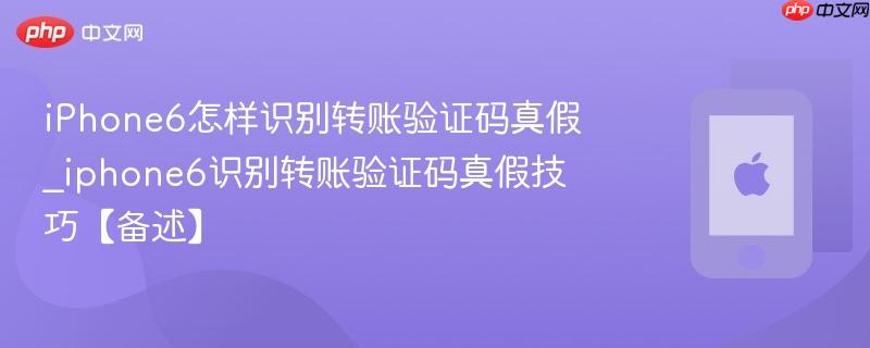 iphone6怎样识别转账验证码真假_iphone6识别转账验证码真假技巧【备述】