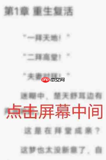 布袋鼠小说app怎么设置翻页模式-翻页模式设置入口