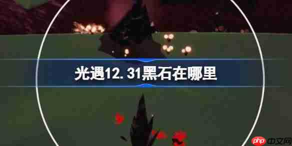 光遇12.31黑石在哪里-光遇12月31日黑石位置攻略