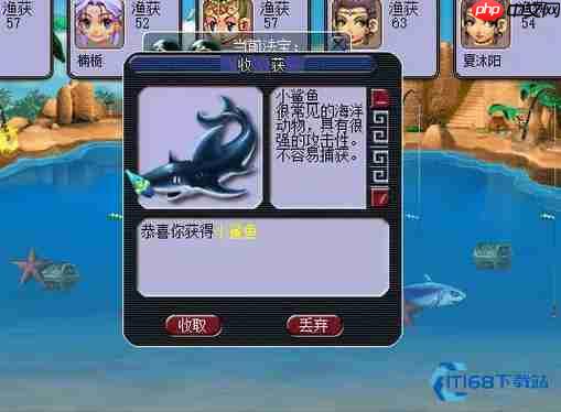 梦幻西游钓贝壳高效技巧指南