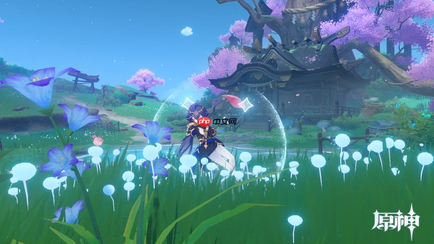 云原神怎样购买畅玩卡_云原神畅玩卡开通与续费【攻略】