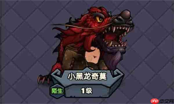 代号肉鸽小黑龙奇莫玩法流派分享