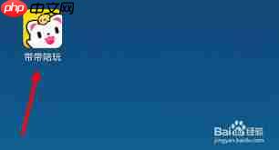 带带陪玩如何申请大神