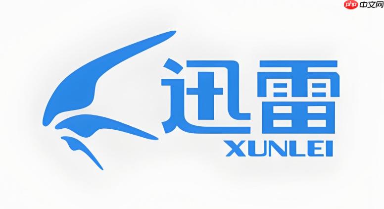 迅雷极速版网页入口 迅雷在线登录平台