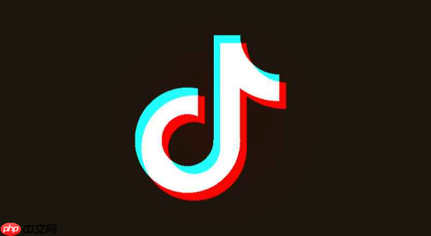 抖音账号数据分析怎么做 指导内容创作与提升变现效率